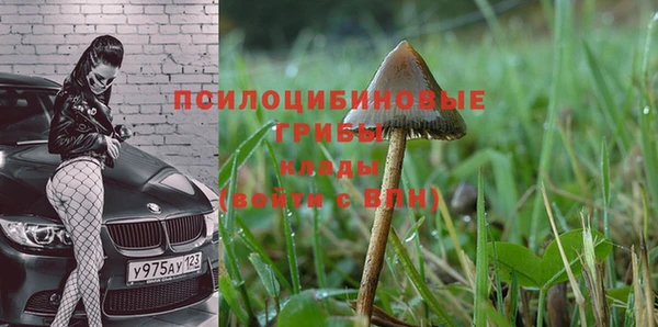 прущий лед Алзамай