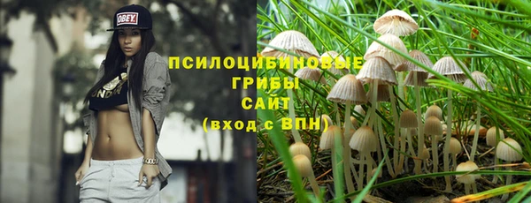 прущий лед Алзамай