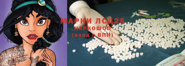 прущий лед Алзамай