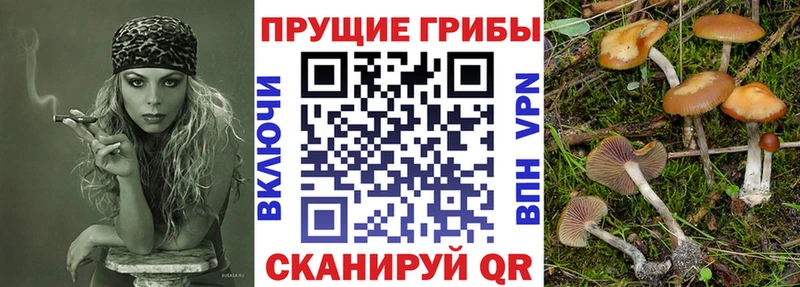 kraken зеркало  Уварово  Галлюциногенные грибы ЛСД 